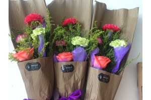 w88win优德五月 感恩母亲